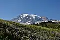 Le mont Rainier, montagne sacrée du nom de Tahoma pour les Nord-Amérindiens des environs.