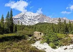 Vue du mont Shasta, depuis Bunny Flat. Cet endroit étant desservi par une autoroute, c'est le point d'accès le plus populaire aux randonnées autour du mont Shasta.