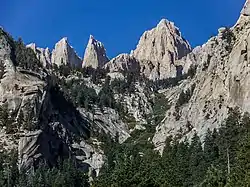 Image illustrative de l’article Forêt nationale d'Inyo