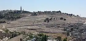 Vue du mont des Oliviers.