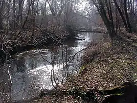 La Petite Leyre, à Moustey.