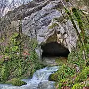 La grotte de la Baume Archée en hautes eaux.