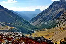 Vallée très encaissée, en V, vue d’en haut. Le versant de gauche est boisé, celui de droite rocheux. Petit lichen rouge au premier plan.