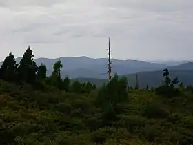 Vue du mont Jakuchi au loin.