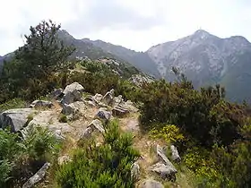 Vue du sommet (au fond à droite).