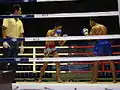 Combat de boxe thaïlandaise