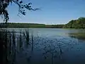 Lac "Mühlenbecker See"