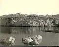 Photographie du glacier Muir par Frank La Roche vers 1897.