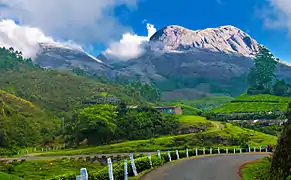 Munnar (Kerala) est l'une des nouvelles destinations prisées par les touristes.