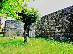 Mur de l'enceinte médiévale Ouest de la ville.