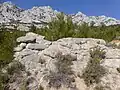 Blocs cyclopéens, formant un mur (enceinte ?). Situé à environ 300m au sud du site principal de l'oppidum de Bramefan. À l'arrière, la Montagne Sainte-Victoire ;