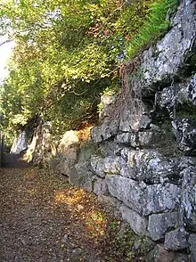 Enceinte basse envahie par la végétation, le long d'un sentier, constituée de grosses pierres agencées.