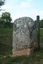 Menhir des Parrots