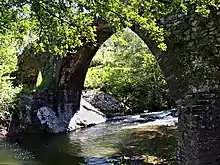 Pont de Torreno sur le Bevinco à Murato.