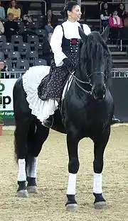 Murgese noir, presque de face, monté par une cavalière en costume traditionnel