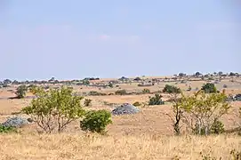 Plateau aride des Murge à Ruvo di Puglia