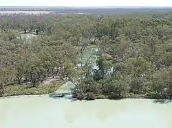Photo d'un ensemble d'étangs plus ou moins reliés dans une forêt claire largement inondée.