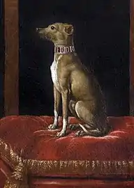 Un chien de grand seigneur - Jean Ranc