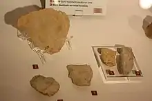 Plusieurs exemples de pierres taillées exposées dans un musée.