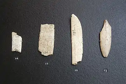 Fragments de lissoir décorées du Magdalénien. Musée national de Préhistoire, Les Eyzies-de-Tayac-Sireuil