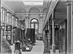 Des troncs et des sections de bois au centre d'une galerie, à gauche des photos des arbres, à droite des échantillons dans des vitrines