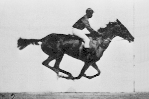 Animation en noir et blanc d'un jockey et son cheval au galop.