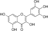 Image illustrative de l’article Myricétine