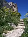 photographie couleurs : un escalier dans la verdure