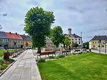 Česká Skalice) : place Jan Hus.