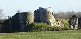 Les ruines de l'ancien château de la Royère à Néchin (M) et leurs abords (S)