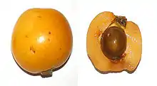 Un fruit ovoïde orange entier et un fruit coupé longitudinalement montrant le noyau.