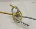 Nœud de cul de porc à 2 brins utilisé pour faire un bracelet Snake bicolore
