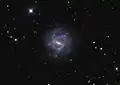 NGC 1073 capté à l'observatoire du mont Lemmon. (Adam Block/Mount Lemmon SkyCenter/University of Arizona)