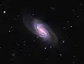 NGC 2903 par Adam Block (Observatoire du mont Lemmon/Université de l'Arizona).