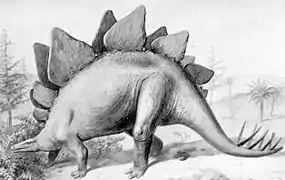 Stegosaurus