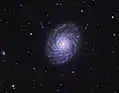 NGC 3486 est certes une galaxie spirale de grand style.(Adam Block (Observatoire du mont Lemmon/Université de l'Arizona)