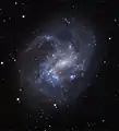 NGC 4395 capté par le télescope Shulman de l'observatoire du mont Lemmon de l'université de l'Arizona. (Adam Block)