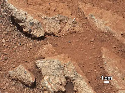 Le gravier de la roche Link a des formes arrondies indiquant qu'il a été roulé dans un cours d'eau(26 septembre)