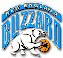 Logo du Blizzard de la Nouvelle-Angleterre