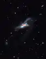 NGC 520 capté par le télescope Schulman de l'observatoire du mont Lemmon. (par Adam Block)