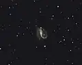NGC 7479 photographiée par un astronome amateur.