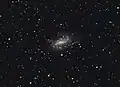 NGC 925.