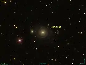Image illustrative de l’article NGC 262