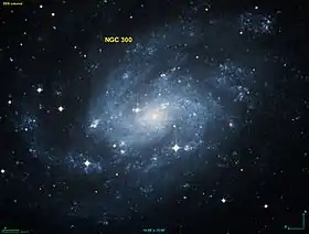 Image illustrative de l’article NGC 300