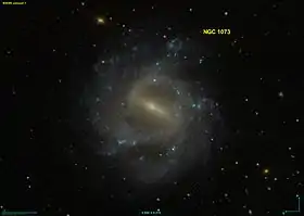 Image illustrative de l’article NGC 1073