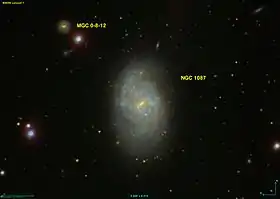 Image illustrative de l’article NGC 1087