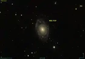 Image illustrative de l’article NGC 1137