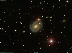 Image illustrative de l’article NGC 1164