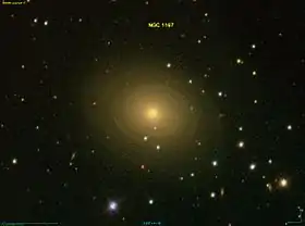 Image illustrative de l’article NGC 1167