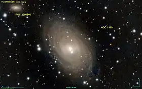 Image illustrative de l’article NGC 1169